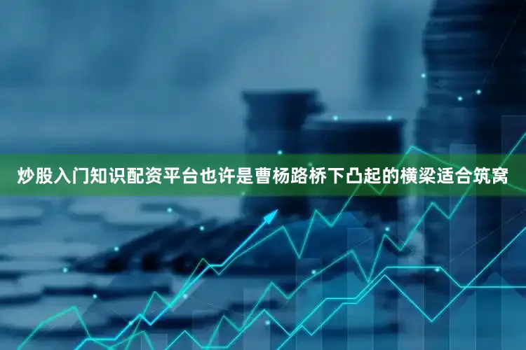 炒股入门知识配资平台也许是曹杨路桥下凸起的横梁适合筑窝