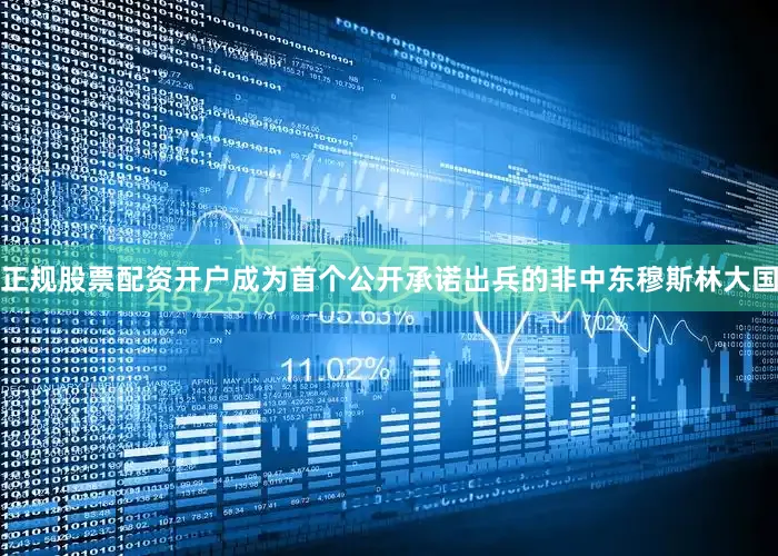 正规股票配资开户成为首个公开承诺出兵的非中东穆斯林大国
